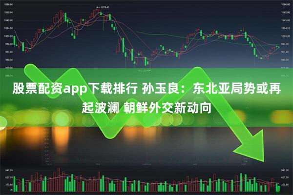 股票配资app下载排行 孙玉良：东北亚局势或再起波澜 朝鲜外交新动向