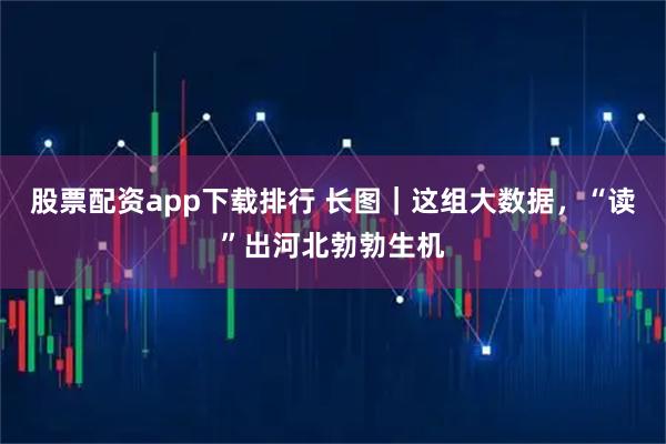 股票配资app下载排行 长图｜这组大数据，“读”出河北勃勃生机