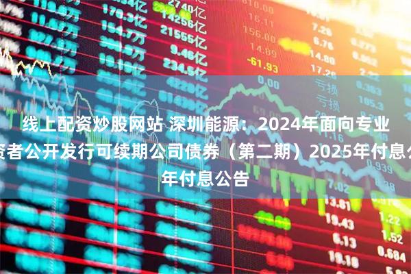 线上配资炒股网站 深圳能源：2024年面向专业投资者公开发行可续期公司债券（第二期）2025年付息公告